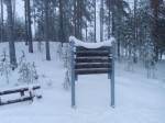 Где покататься на беговых лыжах в Финляндии? Северная Карелия, Йоэнсуу