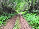«Perm Trail Подснежник» - самый грязный трейл с самым чистым названием