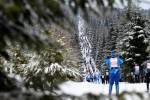 Глобальный календарь лыжных марафонов: 124 гонки!