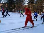 Факты, цифры и фотографии 46-го Тартуского лыжного марафона