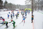 Лыжный старт Ореховская дюжина в Ленинградской области