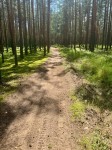 Первый трейл «Тверской бег - Трейл Савватьево»!