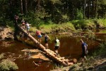 6-ыйЛеса/Пни/Провода ТРЕЙЛ