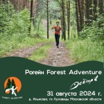 Рогейн Forest Adventure