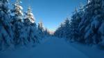 Где покататься на беговых лыжах в Чехии? Божи-Дар — лыжный рай!