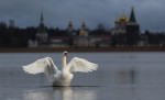 Первый Валдайский гребной марафон: регистрация открыта!