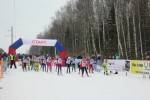 Шибаловская лыжня 2019 г. Кольчугино
