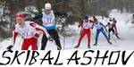 Знакомьтесь: лыжный сайт города  Балашов
